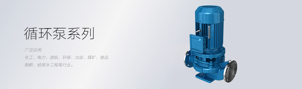 循環泵
